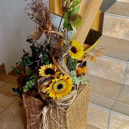 Kristall 4 1/2 Zimmer-maisonetten-haus Daire