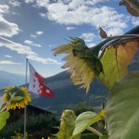 Kristall 4 1/2 Zimmer-maisonetten-haus Daire *