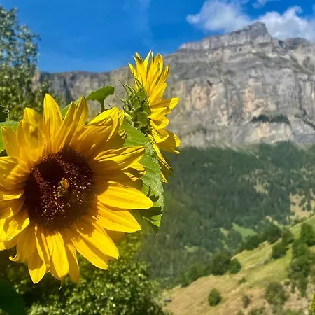 Kristall 4 1/2 Zimmer-maisonetten-haus Albinen
