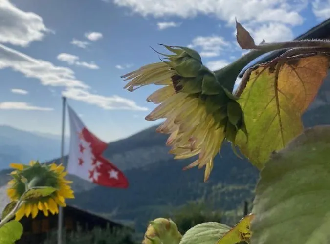 Kristall 4 1/2 Zimmer-maisonetten-haus Appartement *