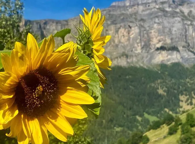 Kristall 4 1/2 Zimmer-maisonetten-haus Albinen